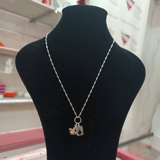 Cadena y Colgante Pedagogía Plata